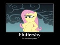 Fluttershy - my-little-pony-friendship-is-magic photo