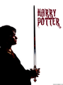 HP :) - harry-potter photo