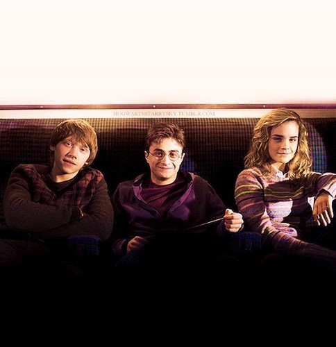  Harry, Ron and Hermione