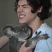 Harry and a koala  - one-direction icon