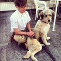 Kevin with Sophie the dog - glee photo