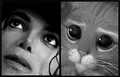 Michael and Puss In Boots... cutest lookalikes ever!!! - michael-jackson fan art