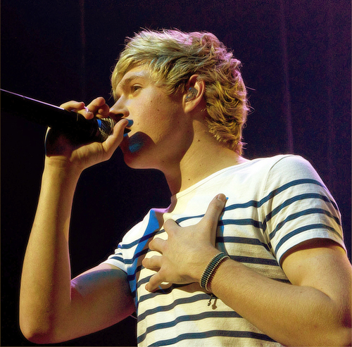 Niall with Louis shirt