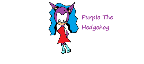  Purple The Hedgehog
