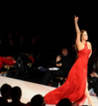 Rose - The Heart Truth's Red Dress Collection 2012 Fashion Show, February 8, 2012 - rose-mcgowan photo