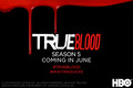 Season 5 Promo Pics - true-blood photo
