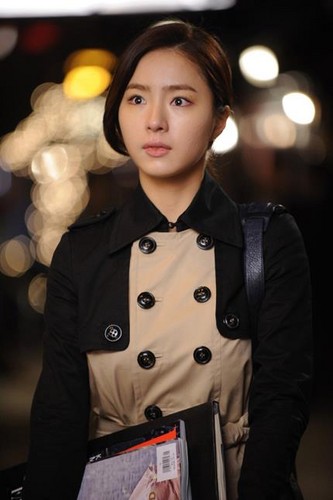 Shin Se Kyung as Lee Ga Young