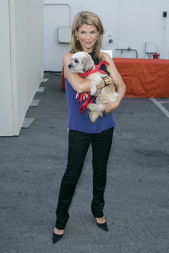 The 3rd Annual Much Love Animal Rescue Bow Wow Wow Hollywood Event 