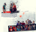 TheBigBangTheory! - the-big-bang-theory photo