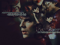 the-vampire-diaries - TheVampireDiaries! wallpaper