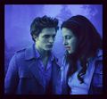 Twilight - New Format Style - twilight-series photo