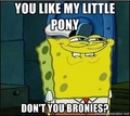 You Like My Little Pony Don't You Bronies? - my-little-pony-friendship-is-magic photo