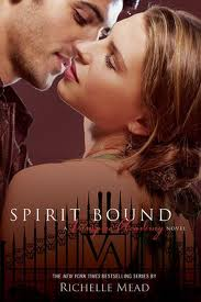  Spirit Bound (VA Book 5)