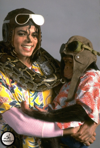  i l’amour toi darling MJ