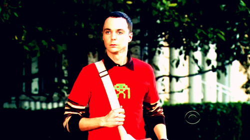  ~Big Bang Theory~
