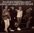{Little 1D Things} - one-direction photo