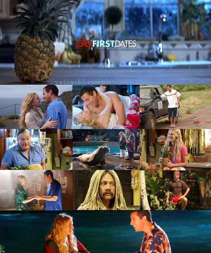 50 First Dates wallpaper entitled 50 First Dates