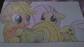 AJ and Fluttershy - my-little-pony-friendship-is-magic fan art