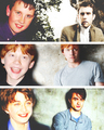 All Grown Up :)  - harry-potter photo