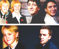 All Grown Up :)  - harry-potter photo