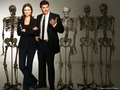 booth-and-bones - Booth and Bones Wallpaper  wallpaper
