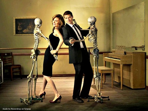  Booth and Bones Hintergrund