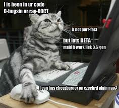  Computer Cat