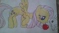 Fluttershy and Angel - my-little-pony-friendship-is-magic fan art
