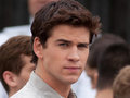 Gale At Reaping - the-hunger-games photo
