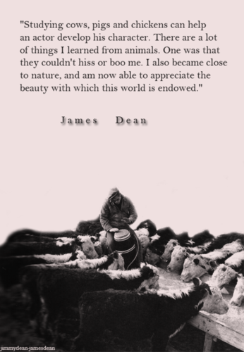  James Dean