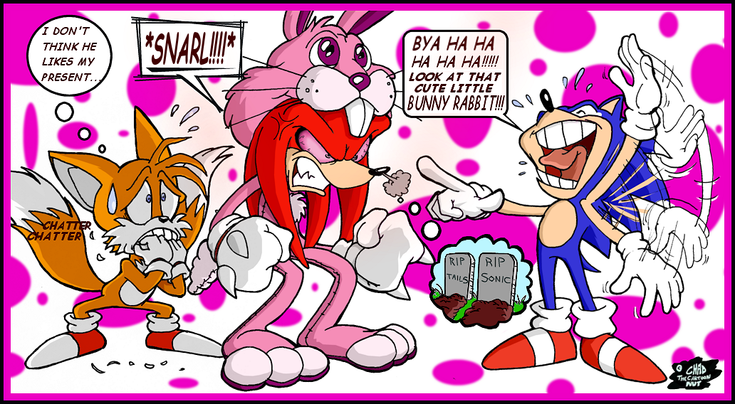 Knuckles-Present-sonic-the-hedgehog-30638726-1032-568.png