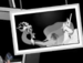 Lol to Discord 2 - my-little-pony-friendship-is-magic icon