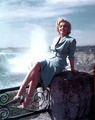 Marilyn Monroe (Niagara) - marilyn-monroe photo