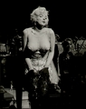 Marilyn Monroe (Some Like it Hot) - marilyn-monroe photo