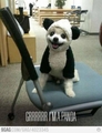 Panda! :D - random photo