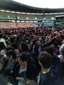 Photos from the Pits in Seoul - lady-gaga photo