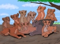 Simba's pride - the-lion-king fan art