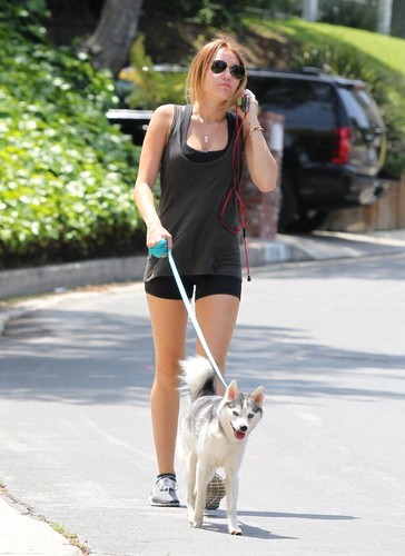  Walking her dog Floyd in Studio City [30th April]