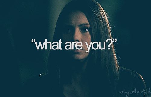  What We l’amour About TVD