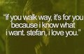 What We Love About TVD - stefan-and-elena photo