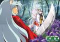 Brother vs brother - inuyasha photo