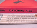 Catching Fire Fanart <3 - the-hunger-games fan art