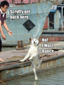 Dancing Dog ^.^ - random photo
