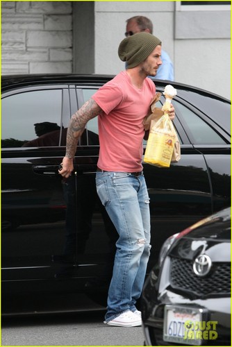 David Beckham: Harper Gets a Modeling Offer