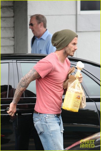 David Beckham: Harper Gets a Modeling Offer