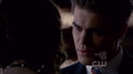 Do not gentle-3.20 - stefan-and-elena photo