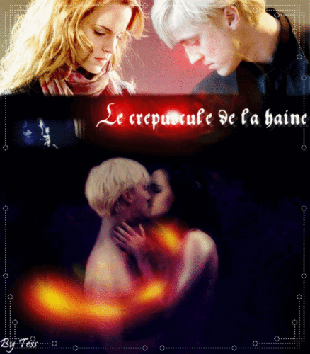  Draco & Hermione