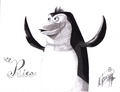 Drawings :D - penguins-of-madagascar fan art
