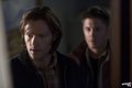Episode 7.22 - There Will Be Blood - Promotional Photos - supernatural photo