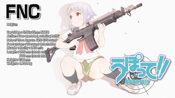 FN-FNC-upotte-30776902-600-337.png
